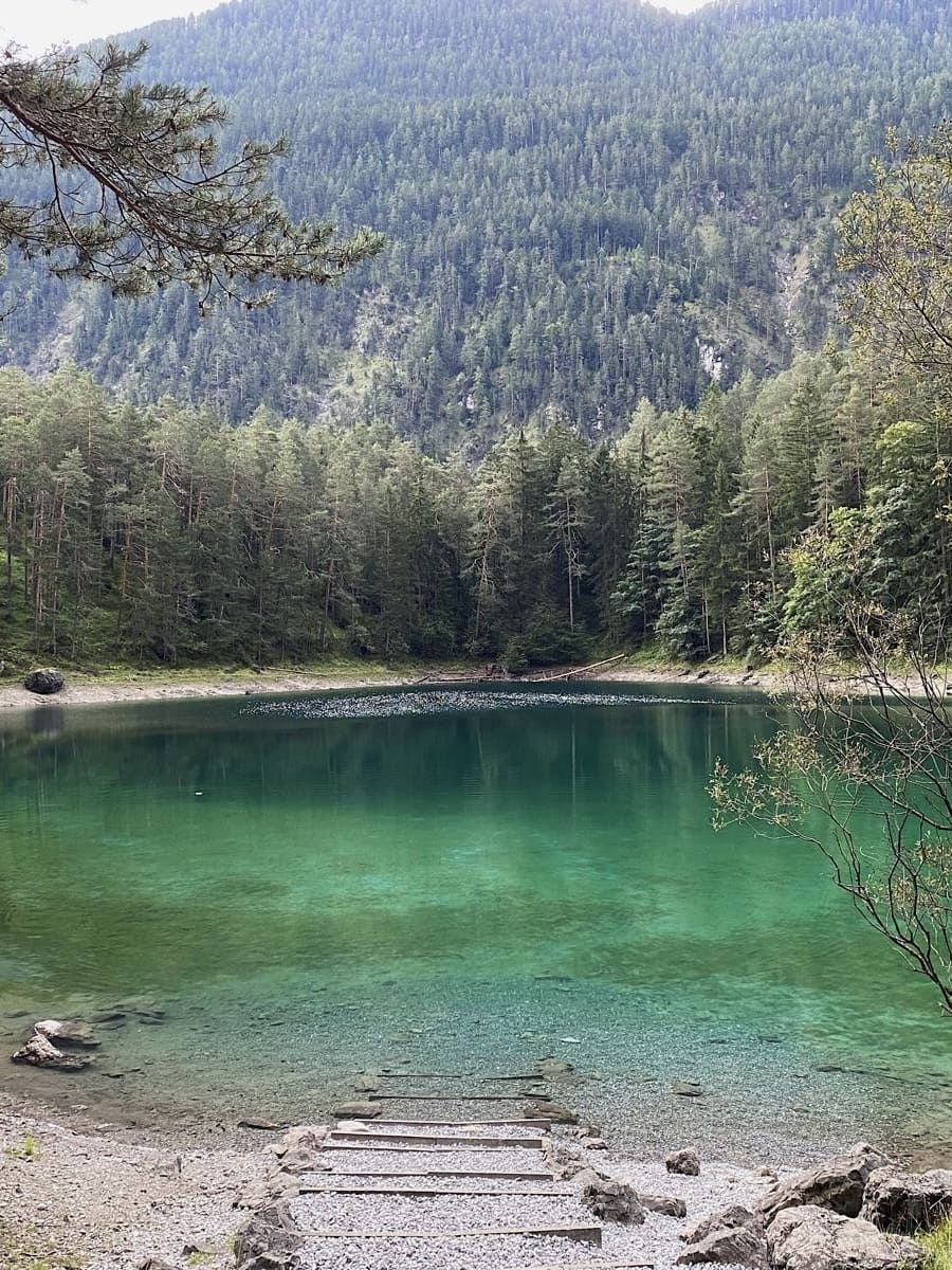 Wanderweg durch dichten Wald