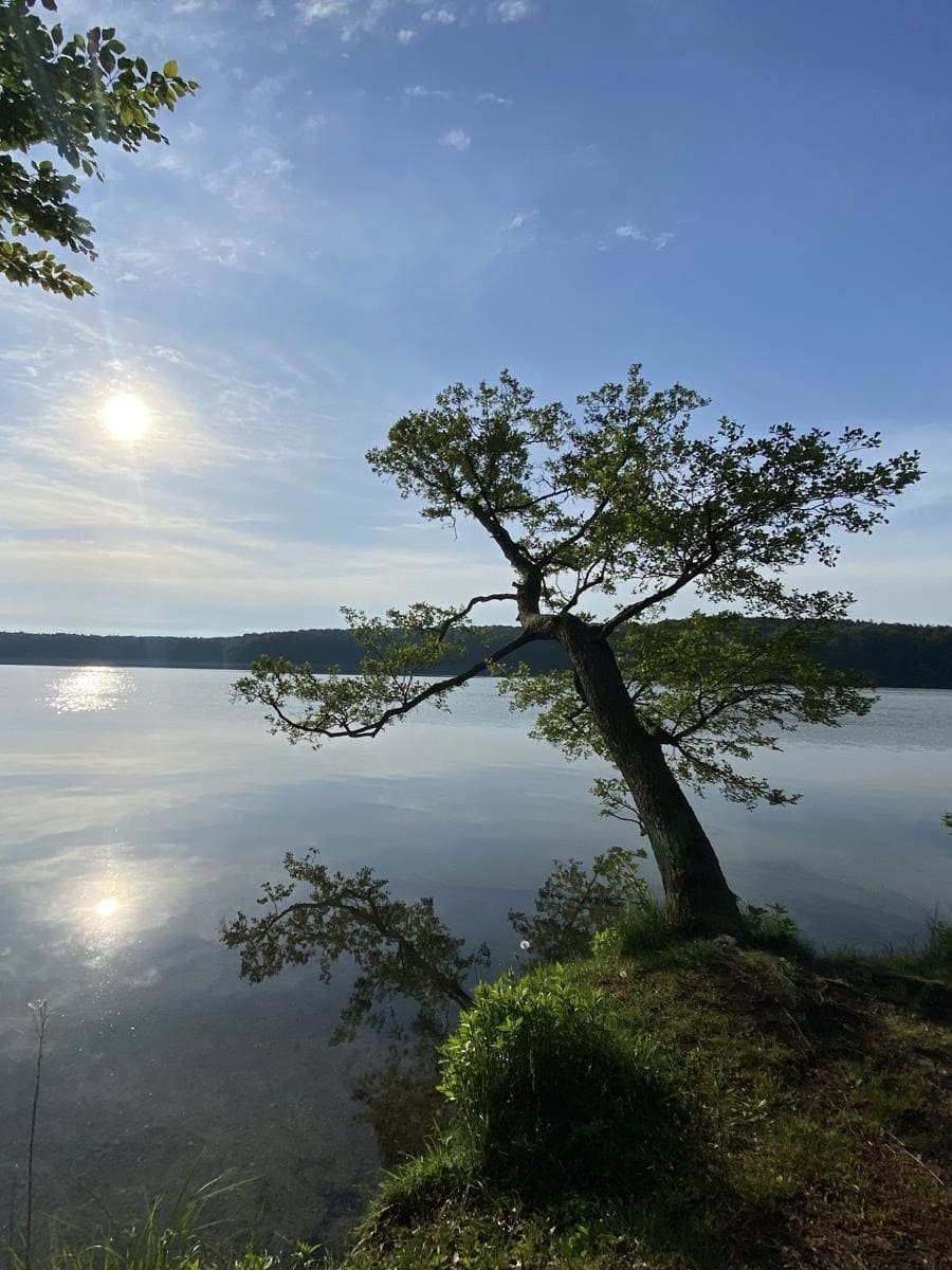 Sonnenuntergang über Gebirgskette