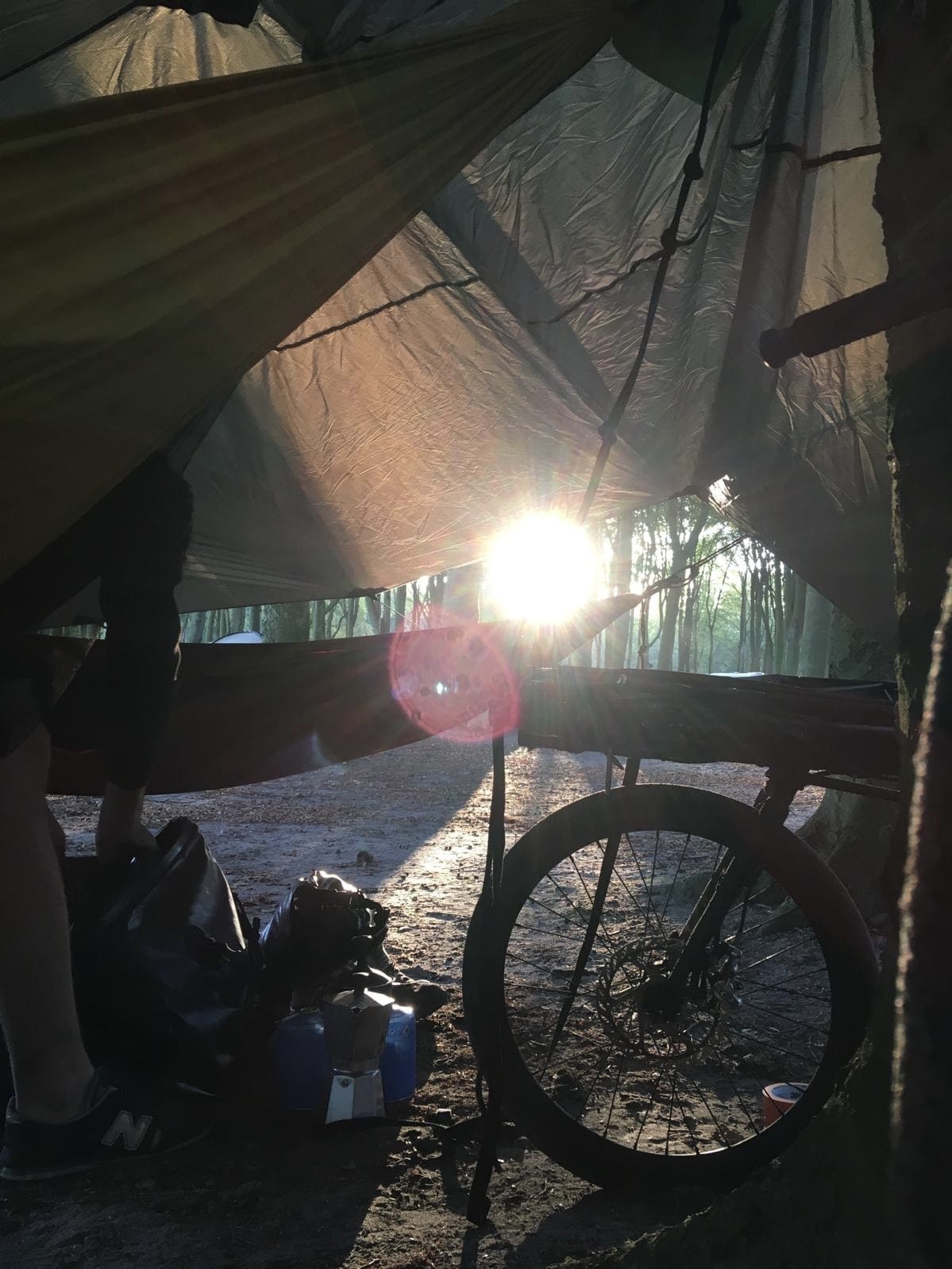 Weite Wiese mit Wildblumen