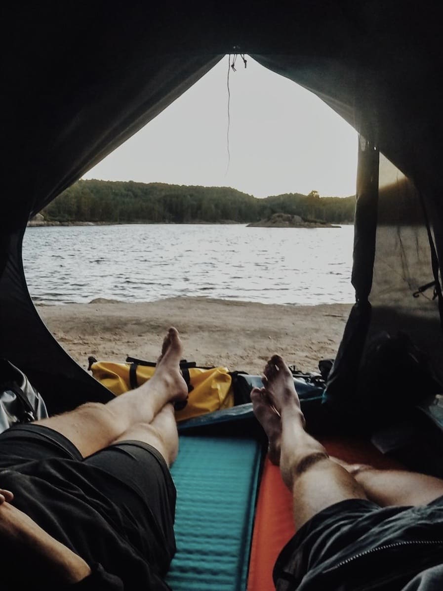 Dichter Nebel in Bergwäldern